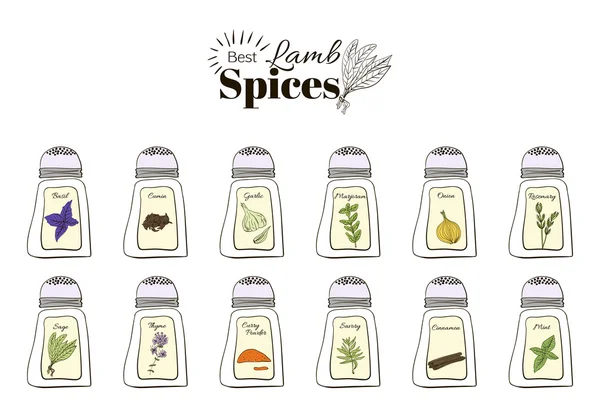 Best seasoning for Lamb. A collection of stand-alone web design elements — Stock Illustration Best seasoning for Lamb. A collection of stand-alone web design elements Stock Vector