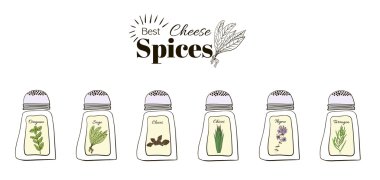 Best seasoning for cheese. A collection of stand-alone web design elements.