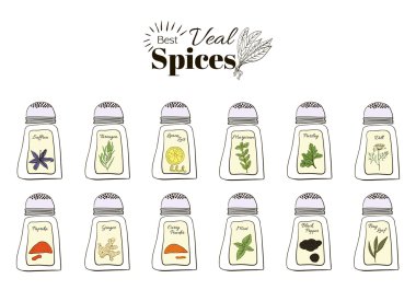 Best seasoning for Veal. A collection of stand-alone web design elements