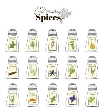 Best seasoning for Poultry. A collection of stand-alone web design elements