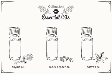 A set of essential oils in black and white style: thyme, black pepper, saffron.