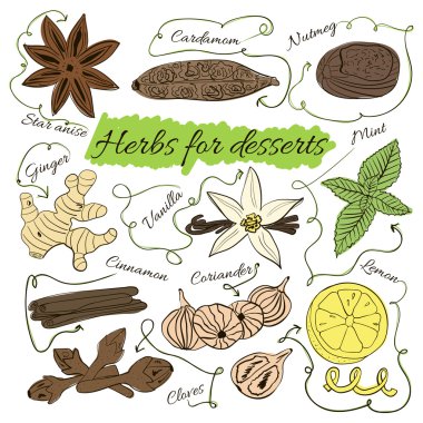 A large set of isolated colorful spices and herbs from the desserts and pastries for design on white background. illustration