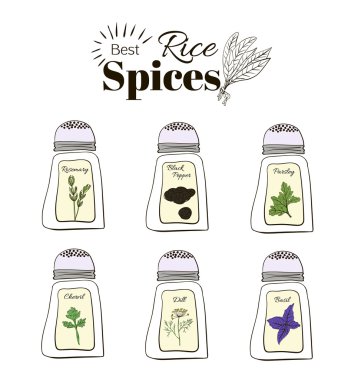 Set of fragrant spices for the rice. illustration