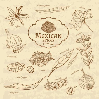 Set of spices and herbs cuisines of the world Latin America Mexico on old paper in vintage style. Vector 