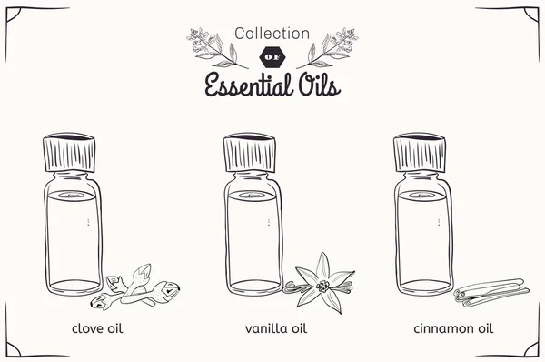 A set of essential oils in black and white style: cloves, vanilla, cinnamon. — Stock Vector