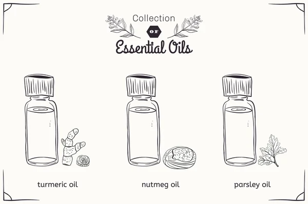 A set of essential oils in black and white style: nutmeg, parsley, turmeric. — Stock Vector