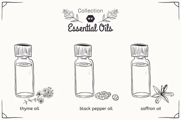 A set of essential oils in black and white style: thyme, black pepper, saffron.
