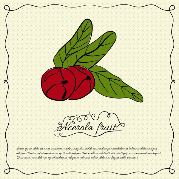 Fondo retro con jugosa fruta acerola — Vector de stock