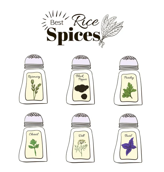 Set of fragrant spices for the rice. illustration — 스톡 벡터