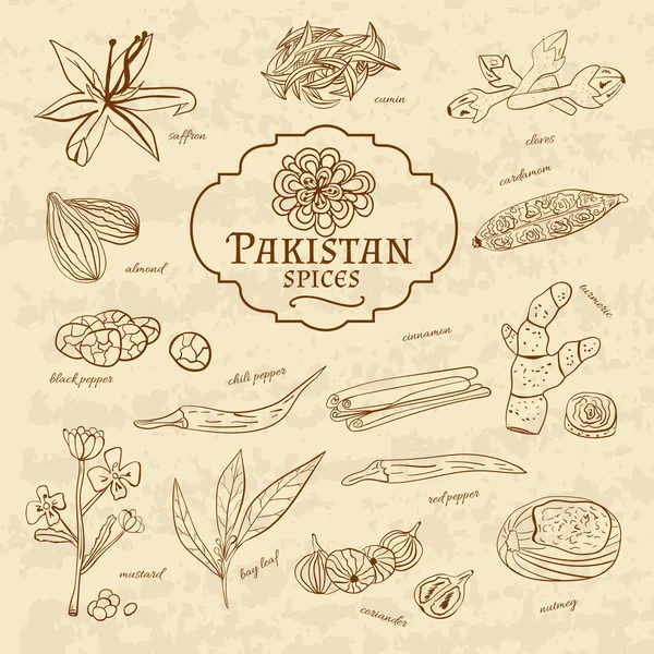 Set of spices and herbs cuisines Pakistan on old paper in vintage style. Vector — Stock vektor