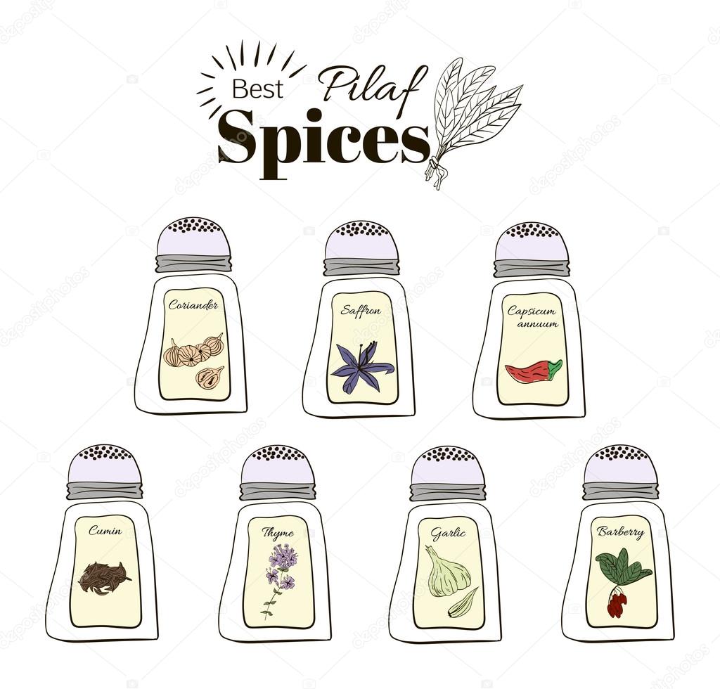 et of fragrant spices and herbs and raisins. Vector