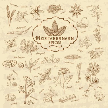 Set of spices cuisines the Mediterranean on old paper in vintage style. illustration