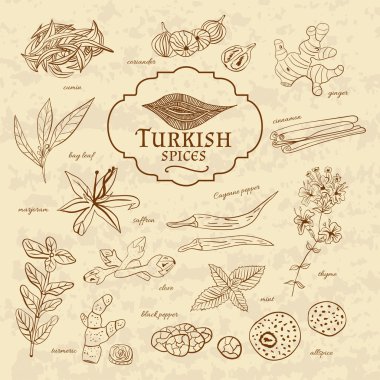 Set of spices and herbs cuisines Turkey on old paper in vintage style.  illustration