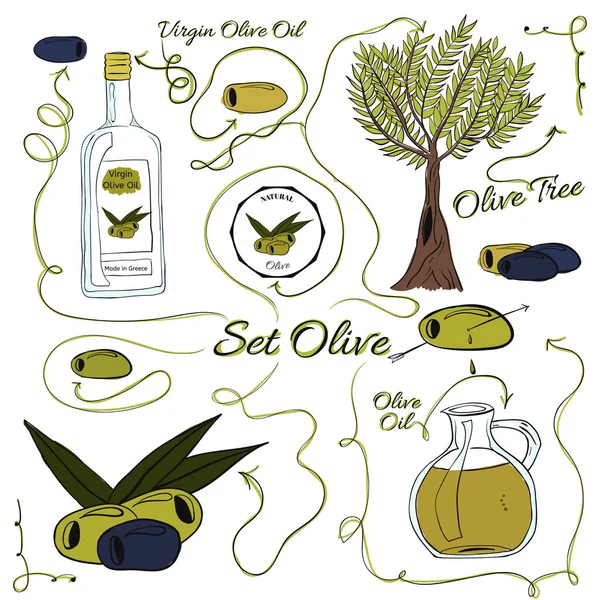 A large set of isolated colorful olive elements for design on white background.  illustration — Wektor stockowy