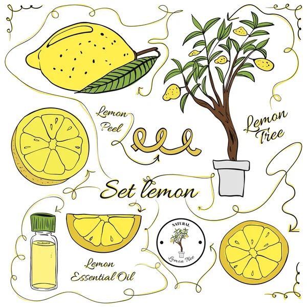 Satu set besar elemen lemon berwarna terisolasi untuk desain pada latar belakang putih. ilustrasi - Stok Vektor