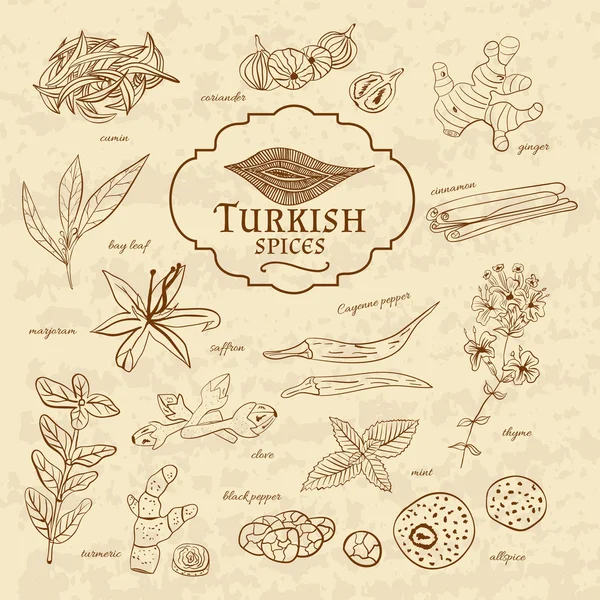 Conjunto de especiarias e ervas culinárias Turquia em papel velho em estilo vintage. Ilustração — Vetor de Stock