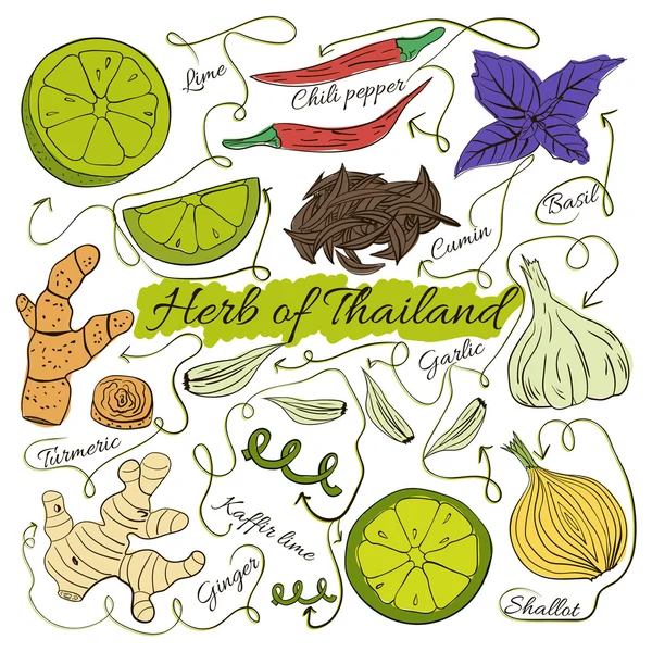 Colorido conjunto aislado de hierbas locales dibujadas a mano y especias platos del mundo sobre fondo blanco. Tailandia. Vector — Vector de stock