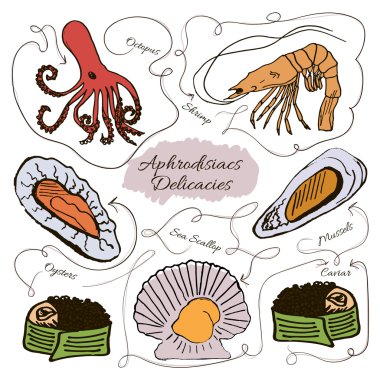Deniz ürünleri aphrodisiacs vektör toplama el çekilmiş