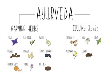 Hand-sketched collection of elements of Ayurvedic spices in our kitchen. Warming and cooling Herbs and supplements Ayurveda.