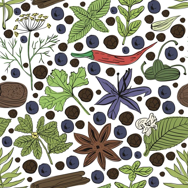 Hand drawn vector seamless pattern eco spices — Stok Vektör