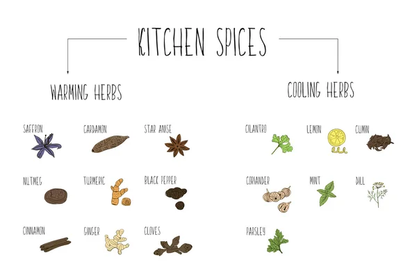 Hand-sketched a large collection of elements warming and cooling spices in our kitchen. Herbs and supplements for cooking. — Stock vektor