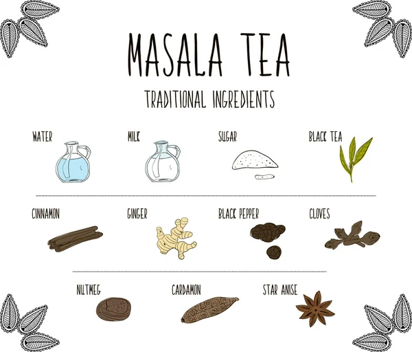 Hand-sketched collection of elements of Ayurvedic spices are part of the ancient drink masala tea. Herbs and supplements Ayurveda. Vector