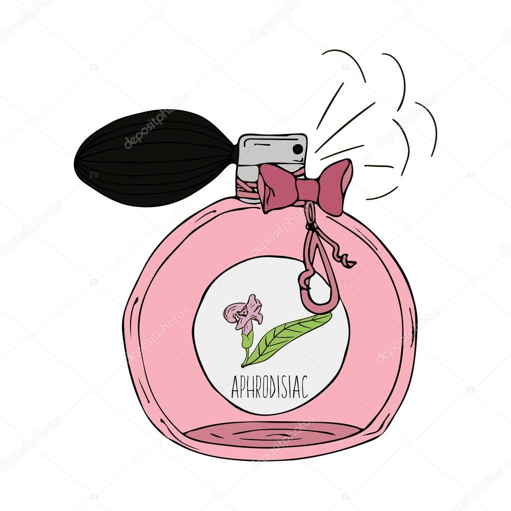 Hand Drawn  illustration of a perfume bottle with the scent of aphrodisiac