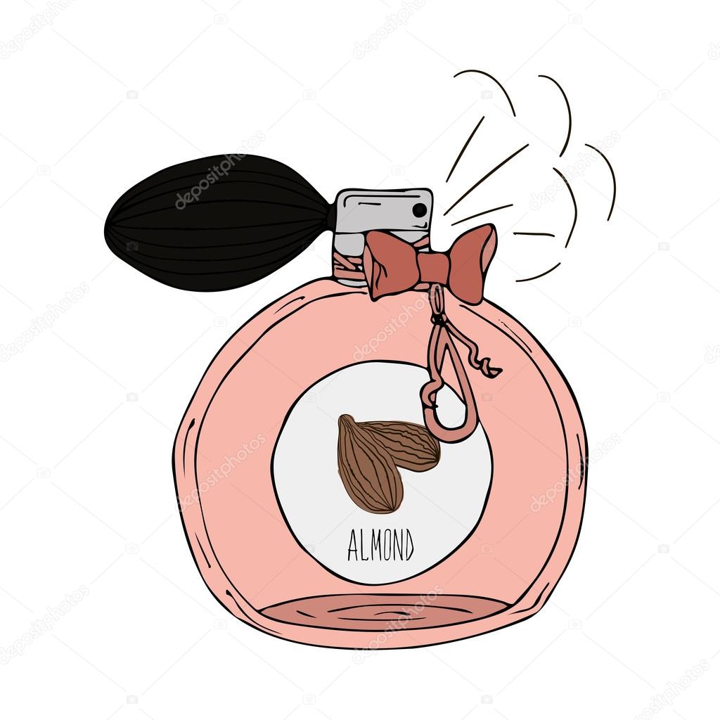 Hand Drawn vector illustration of a perfume bottle with the scent of almond