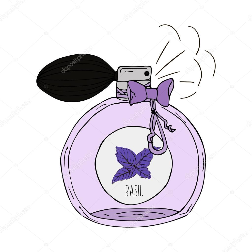 Hand Drawn  illustration of a perfume bottle with the scent of basil