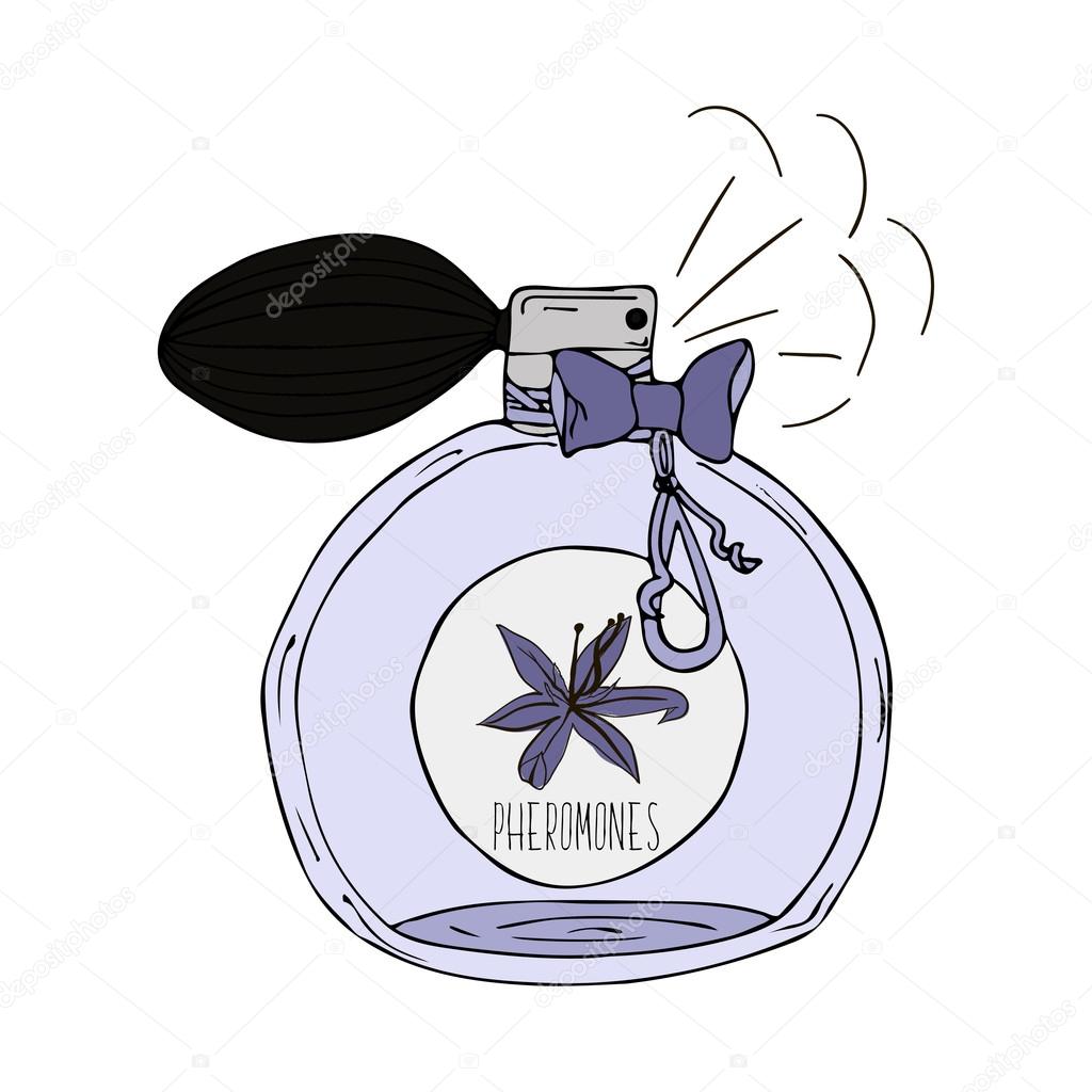 Hand Drawn  illustration of a perfume bottle with the scent of pheromones