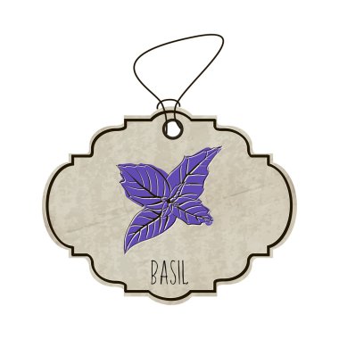 Handdrawn illustration from the collection of spices and herbs. The old label in retro style with colorful fragrant with the Basil leaves. Vector