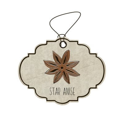 Handdrawn illustration from the collection of spices and herbs. The old label in retro style with colorful fragrant star anise. Vector