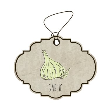 Baharatlar ve otlar handdrawn çizimi koleksiyonundan. Retro tarzı renkli kokulu diş sarımsak ile eski etiketinde. Vektör