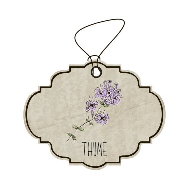 Handdrawn illustration from the collection of spices and herbs. The old label in retro style with colorful fragrant sprig of thyme. Vector
