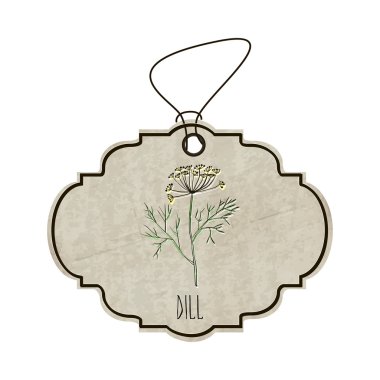 Handdrawn illustration from the collection of spices and herbs. The old label in retro style with colorful fragrant dill. Vector
