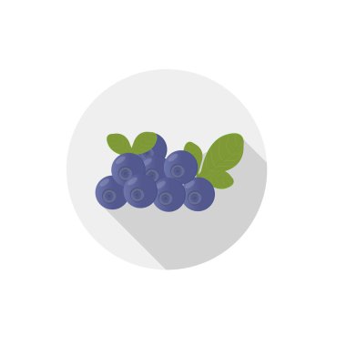 Isolated flat icon of vegetarian eating berries on a white background. Ripe wild blueberries . Vector