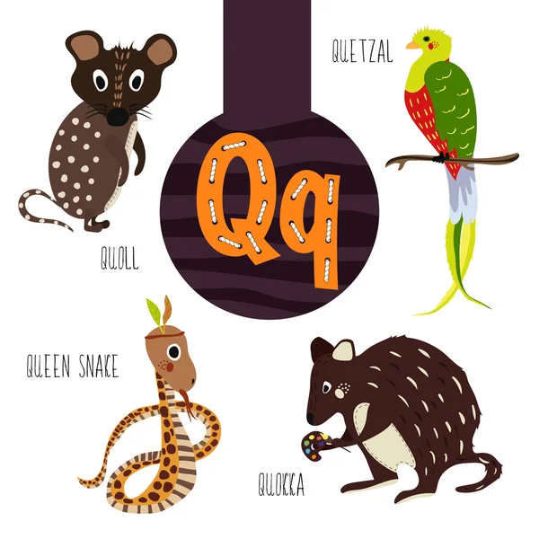 Fun animal letters of the alphabet for the development and learning of preschool children. Set of cute forest, domestic and marine animals with the letter q. Vector — 스톡 벡터