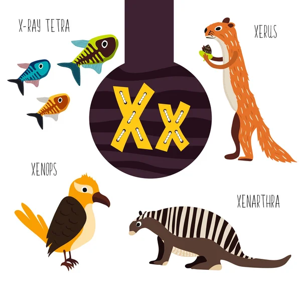 Fun animal letters of the alphabet for the development and learning of preschool children. Set of cute forest, domestic and marine animals with the letter x. Vector Royalty Free Stock Vectors