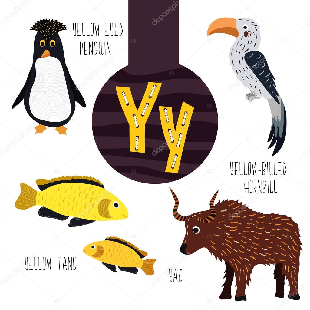 Fun animal letters of the alphabet for the development and learning of preschool children. Set of cute forest, domestic and marine animals with the letter y. Vector