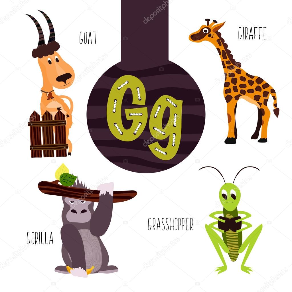 Fun animal letters of the alphabet for the development and learning of  preschool children. Set of cute forest, domestic and marine animals with  the letter g. Vector illustration Stock Vector Image by ©