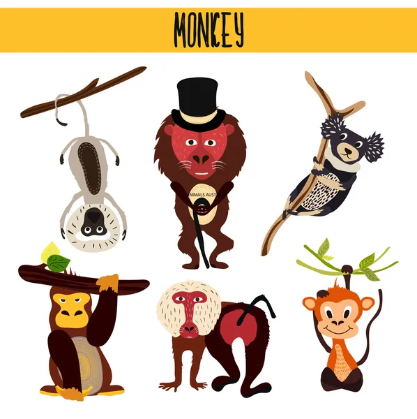 Cartoon-Set von niedlichen Tieren Affen, die in verschiedenen Teilen der Welt Wälder und tropischen Dschungel leben. Makaken, Gorillas, Yukari, Affen, Paviane, Indri, Schimpansen. Vektor — Stockvektor