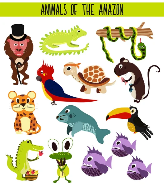 Gyűjteménye aranyos karikatúra állatok és madarak az Amazon területek, Dél-Amerika elszigetelt fehér background. Jaguar, krokodil, piranha, Anaconda, tukán, papagáj, teknősök és iguana. Vektor — Stock Vector