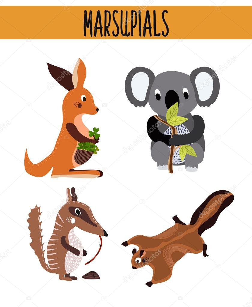Cartoon Set of Cute Animals marsupials living in Australia and its Islands. Kangaroo, squirrel, numbat, anteater and Koala bear with bamboo leaf. Vector