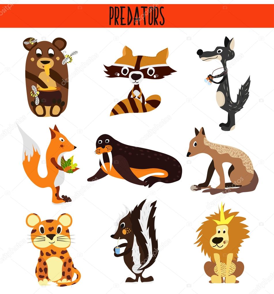 Cartoon Set of Cute Animals predators living in different parts of the world forests, seas and tropical jungles . Crocodile. skunk, bear, wolf, Fox, raccoon, walrus, lion, Jackal and Jaguar. Vector