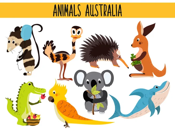 Ensemble de dessins animés mignons Animaux et oiseaux d'Australie et son ostrovov. Kangourou, opossum, numbat, l'ours Koala, l'UEM, le perroquet, l'alligator, l'échidna et un requin prédateur. Vecteur — Image vectorielle