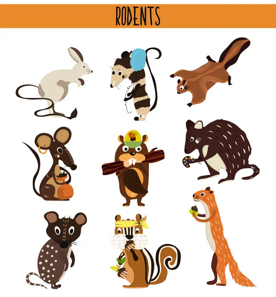 Juego de dibujos animados de animales lindos roedores que viven en el planeta. Ardilla, ratón, zarigüeya, Coney, castor, ardilla, quoll, quokka. Vector — Vector de stock