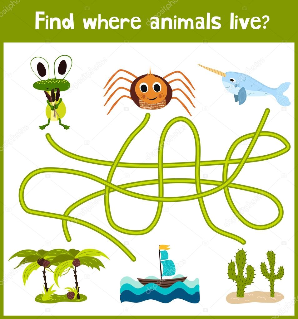 Fun and colorful puzzle game for children's development find where a spider, the narwhal and the frog. Training mazes for preschoolers. Vector