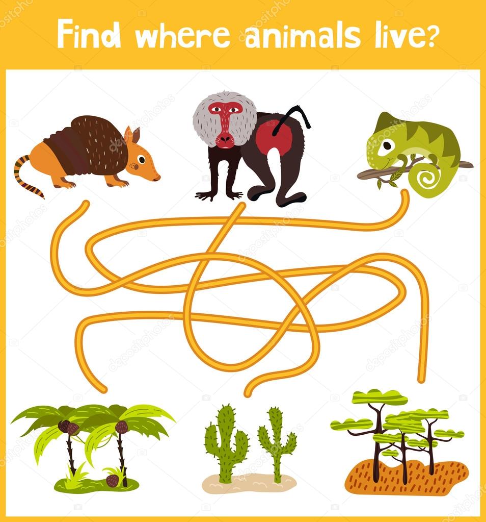 Fun and colorful puzzle game for children's development find where the Armadillo, the baboon and the lizard is a chameleon. Training mazes for preschoolers. Vector