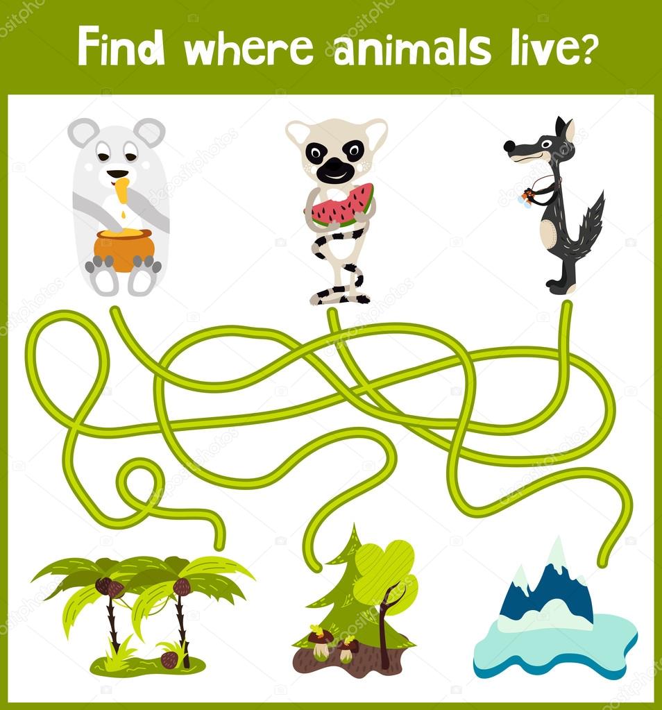 Fun and colorful puzzle game for children's development find where the sly lemur with watermelon, polar bear and gray wolf. Training mazes for preschoolers. Vector