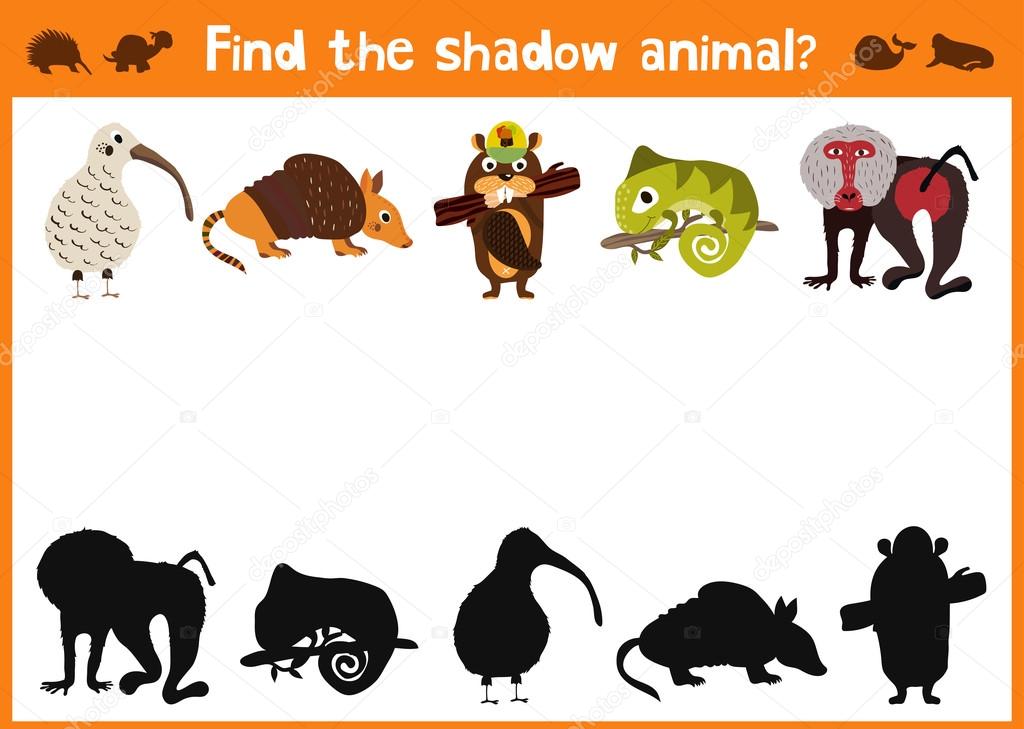 Mirror Image five different cute animals and a good Visual Game. Task find the right answer black shadow animals.